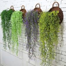 Pin On Hanging Plants