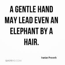 Iranian Proverb Quotes | QuoteHD via Relatably.com