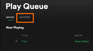 How To View Play Queue And History On Spotify