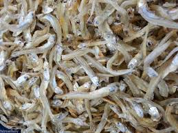 If you like your sambal sweet, use more sugar. Ikan Bilis In English Anchovies
