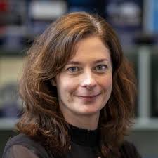 STM Board & Governance