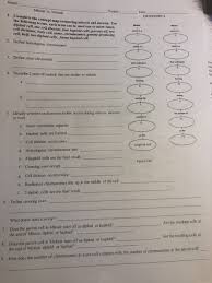 Meiosis i and meiosis ii. Name Mitosis Vs Melosis Period Date Question 1 Concept Map Comparing Mitosis And Meiosis Use Homeworklib