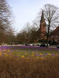 Möblierte 2,5 zimmer wohnung in kiel in guter lage am belvedere. 4 Zimmer Wohnungen Mieten In Kiel