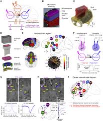 No, if r/soccer says it's an og, then it's an og. A Causal Network Analysis Of Neuromodulation In The Mood Processing Network Sciencedirect