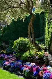 Hopefully The Next Step In The Garden Hydraceas Beautiful Gardens Flower Garden Gorgeous Gardens
