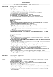 Helen evans dayjob ltd 120 vyse street birmingham b18 6nf. Manager Field Sales Resume Samples Velvet Jobs