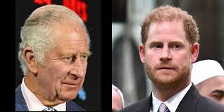 Prince Harry's 2 Stinging Words About Camilla Parker Bowles Blew 'Any  Chance of Reconciliation' With King Charles, Says Royal Commentator