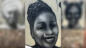 Mural celebrates 'unsung heroes' of Felix Road Playground