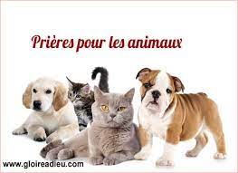 Quel est le saint qui prot?ge les animaux. Prieres De Protection De Guerison Et Pour Le Deces Des Animaux De Compagnie Gloireadieu Com