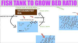 Fish Tank To Grow Bed Ratio Ask The Aquaponics God Ep11 Youtube