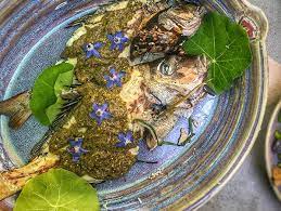 Check spelling or type a new query. Scup Is An Underrated Eating Fish The Martha S Vineyard Times