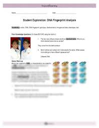 Adenine, thymine, cytosine, and guanine. Dna Fingerprint Analysis Gizmo Answer Key