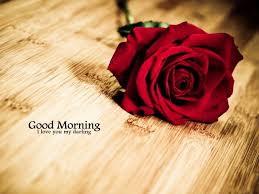 I love a new day because it is a chance to adore you for 24 more hours. Good Morning Wishes For Wife Pictures Images