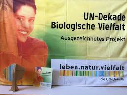 Letzte restplätze zu vergeben seit 2020 kooperieren wir mit dem museum morsbroich in leverkusen. Home Marialinden