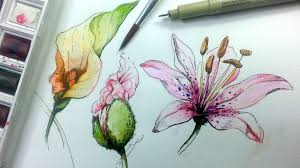 Want to learn an easy way to draw and paint a sunflower? How To Draw Paint Flowers With Ink And Watercolor Flower Drawing Watercolor And Ink Watercolor