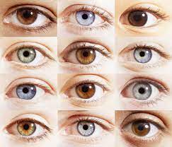 If You Have Blue Eyes They Re Actually Brown And You Just Don T Realise It Eye Color Chart Shades Of Brown Eyes Blue Green Eyes