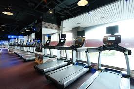 Neoflex 500 Series Fitness Flooring Fitness Factory Taiwan Floor Workouts Gym Flooring Gym Flooring Rubber