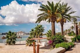10 TOP Things to Do in Port des Torrent September 2023 | Expedia.co.uk