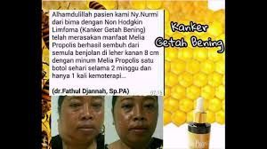 Hasil gambar untuk propolis karawang