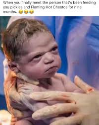 I live in Houston, TX and after reading all the posts in this group about  Best Maid I went looking for them. Apparently in SETX they are known as Del  Dixi. Doesn't