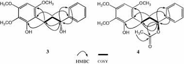 Image result for Uvaria welwitschii