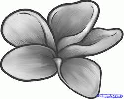 How To Draw A Frangipani Plumeria Flower Step By Step Flowers Pop Culture Free Online Drawing Flower Art Painting Acrylic Painting Flowers Flower Drawing
