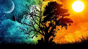 Here you can find the best awesome background for free in high quality. Awesome Wallpapers Top Free Awesome Backgrounds Wallpaperaccess