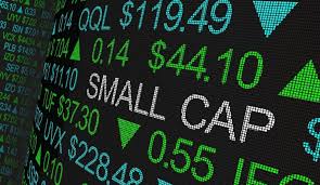 Complete Guide To Small Cap Investing