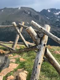 You don't even have to hike all the way to the fork. Forest Canyon Overlook On Trail Ridge Road In Rocky Mountain National Park