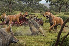 Select from 35987 printable coloring pages of cartoons, animals, nature, bible and many more. The Real Dire Wolf Ran Into An Evolutionary Dead End The New York Times