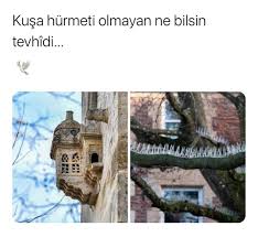 Kusa Hurmeti Olmayan Ne Bilsin Tevhidi Kaynak Instagram Kitabiyat Sozler Anlamlisozler Guzelsozler Manalisozl 2020 Instagram Ilham Veren Sozler Edebiyat