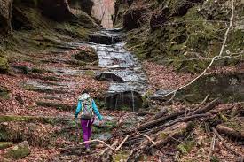Throughout klondike park, there are many paths for mountain bikers, but the favorite for hikers is the lewis and clark trail and lewis trail loop. 5 Of The Best Hikes Near St Louis