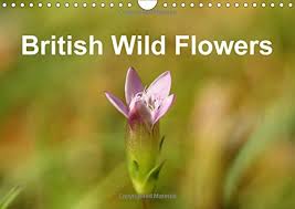 Set in a primitive society, beautiful flowers is an artistic portrayal of the influence of religion on a society trying to interpret the will of the. British Wild Flowers 2017 Some Of Britain S Beautiful Wild Flowers Calvendo Nature 9781325197828 Amazon Com Books