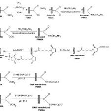 Pieter Telleman's research works