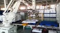 Sistema de Robot de Paletizado de Sacos de Harina de 50 kg.