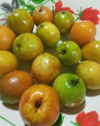 Baik bakteri, jamur mau pun parasit. Breaking The Impossible Khasiat Buah Bidara