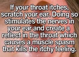 Top 20 Life Hacks Useful Life Hacks Simple Life Hacks Hacks