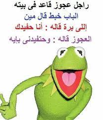 نكت نكت الضفدع شاهد اجمل نكت الضفدع كيرميت هتموتك من الضحك بالصور موقع مفيد لك funny dude jokes quotes funny profile