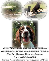 Pet care center of apopka is located in apopka city of florida state. While You Re Away Let Your Pet Vacation At A True Pet Resort Pet Care Center Of Apopka