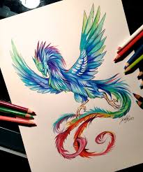 Perimeter = 12 x s Girly Beautiful Phoenix Drawing Novocom Top