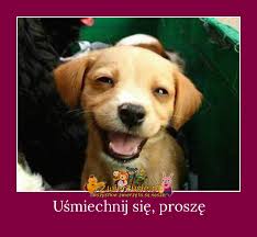 Uśmiechnij się, proszę - Zwierzusie.pl - Wszystkie zwierzęta są nasze
