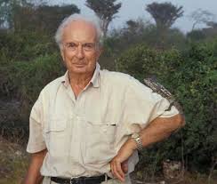 Image result for Stemodiopsis buchananii