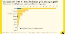 Chart: Which countries are leading the green hydrogen ...