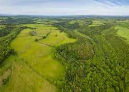 Means the place or type of site where an organism or population naturally occurs. Habitat Fragmentation Definition Biodiversity A Z