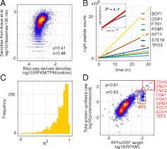 Point mutation (one base is substituted for another) if a point mutation changes the amino acid, it's called a missense mutation. Protein Synthesis Rates And Ribosome Occupancies Reveal Determinants Of Translation Elongation Rates Pnas