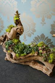 I Have The Succulents All That I Need Is A Beautiful Piece Of Driftwood Pflanzen Sukkulenten Pflanzideen