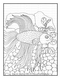Fishing for facts 1 | 2 | 3 | 4 | 5 | 6 nextits easy to feel like youre drowning in conflicting information about fish. Betta Fish Free Printable Coloring Page Color With Steph