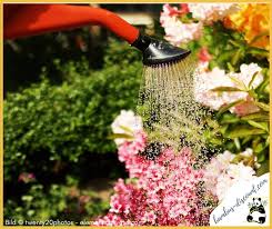 Low to high sort by price: Bambus Discount Beitrage Facebook