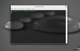 Image result for mutter gnome
