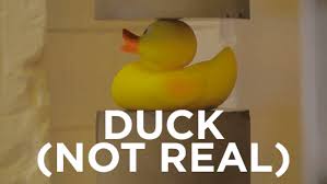 https encrypted tbn0 gstatic com images q tbn 3aand9gctbmebgsvp1gzax484apntuwsl3bwxt0lx nq usqp cau 2